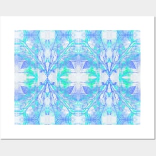 Natural Snowflake Pattern Posters and Art